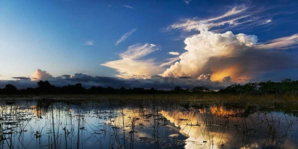 Rent Boats in Miami Easily! - be your own captain on self-rental boats The Best Boats for Rent